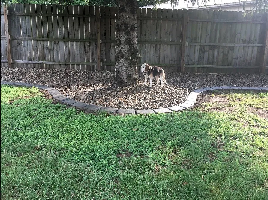 Expert garden landscaping for beautiful yards across Terre Haute, IN - Leisure Escapes