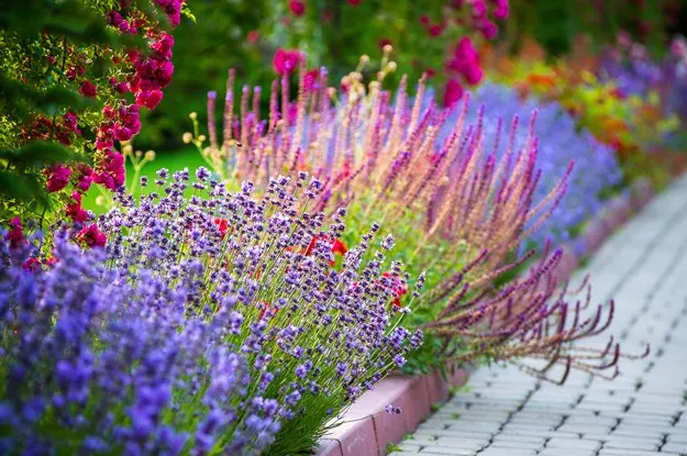 Professional landscape design with custom design across Durham, NC - Leisure Landscapes