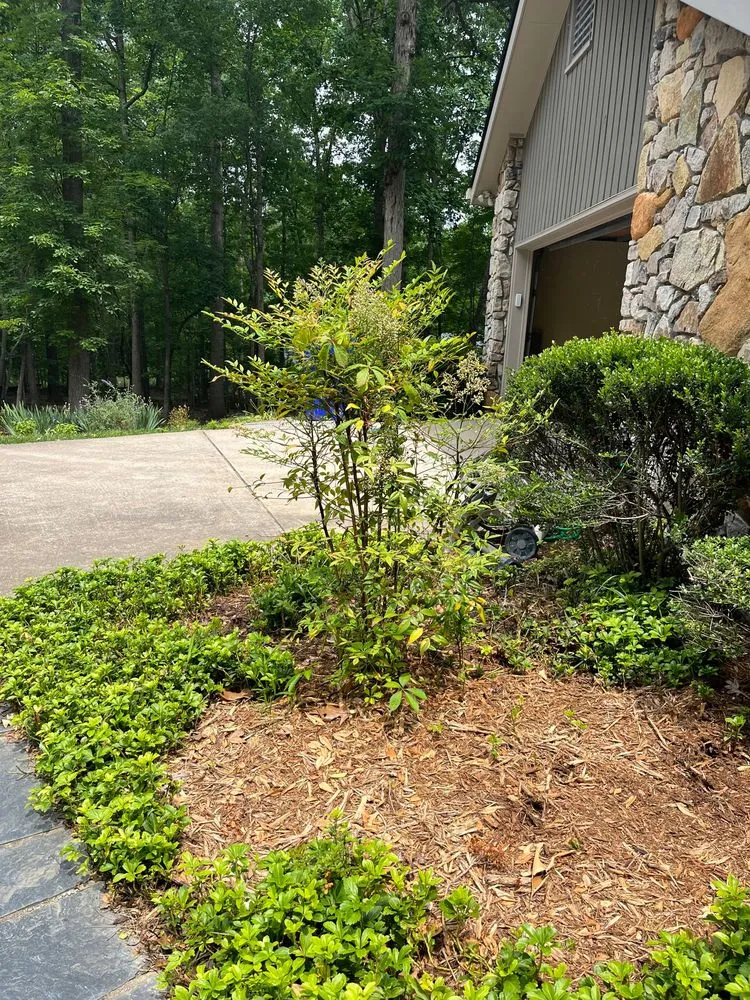 Reliable garden landscaping for year-round maintenance across Durham, NC - Leisure Landscapes