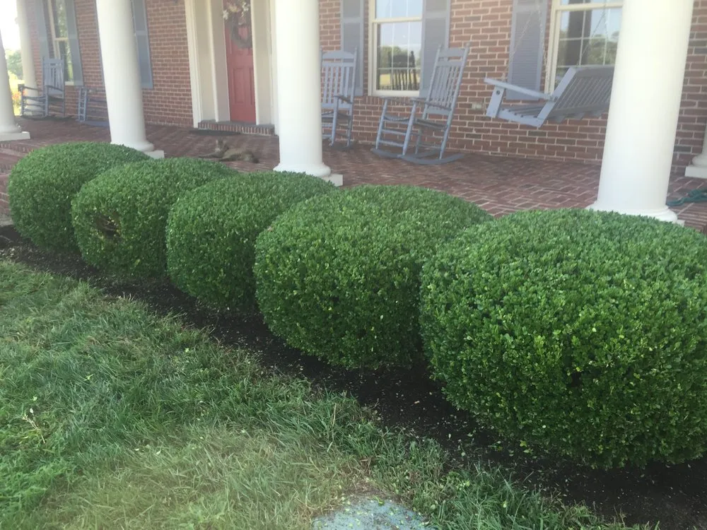 Reliable lawn mowing service in Lexington, KY - Leisure Lawn and Landscaping