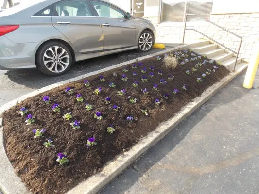 Leisure Lawn and Landscaping Logo