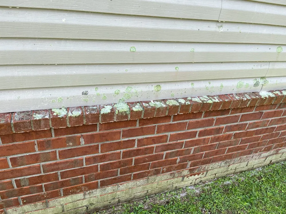 Top-rated yard cleanup service for outdoor upgrades in Summerville, SC by Leisure Lawn Care Pressure Washing and Debris Removal