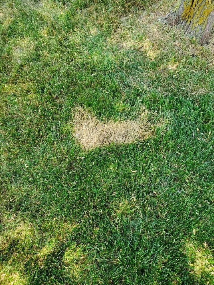 Local garden landscaping experts serving Fort Wayne, IN - Leisure Lawn of Fort Wayne