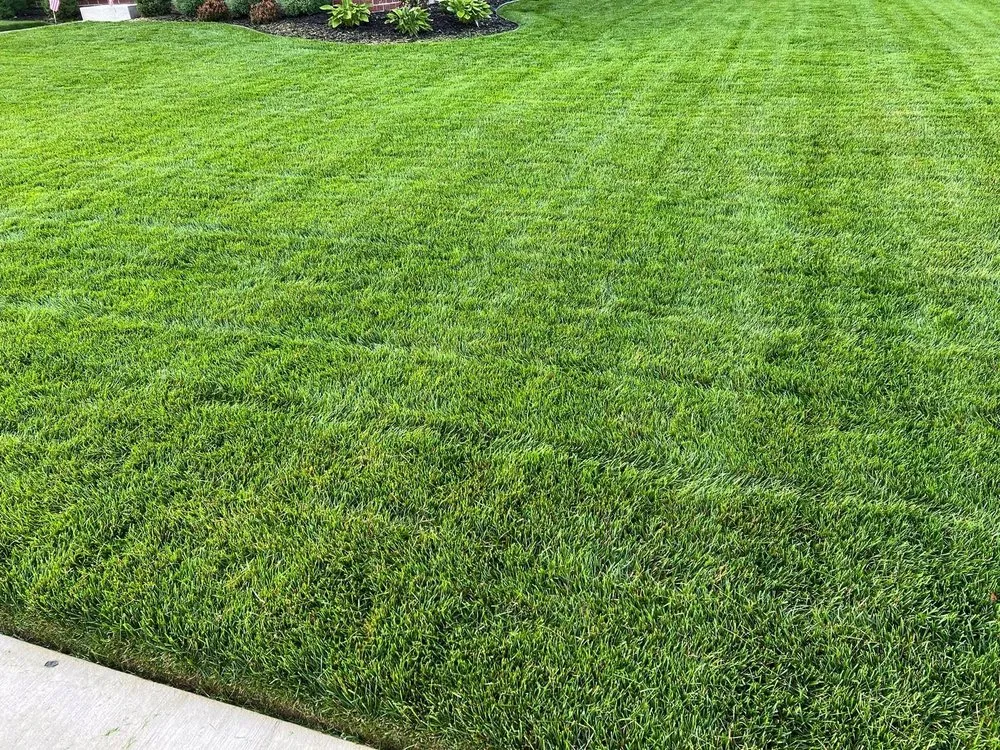 Reliable garden landscaping in Huntington Station, NY - Leisure Lawns