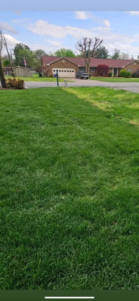 Trusted yard cleanup service experts serving Huntington Station, NY - Leisure Lawns