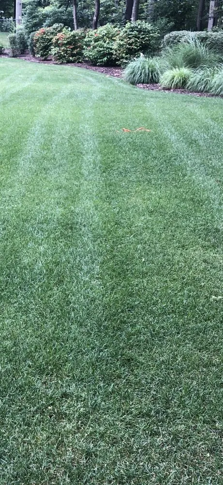 Reliable yard cleanup service for year-round maintenance in Huntington Station, NY by Leisure Lawns