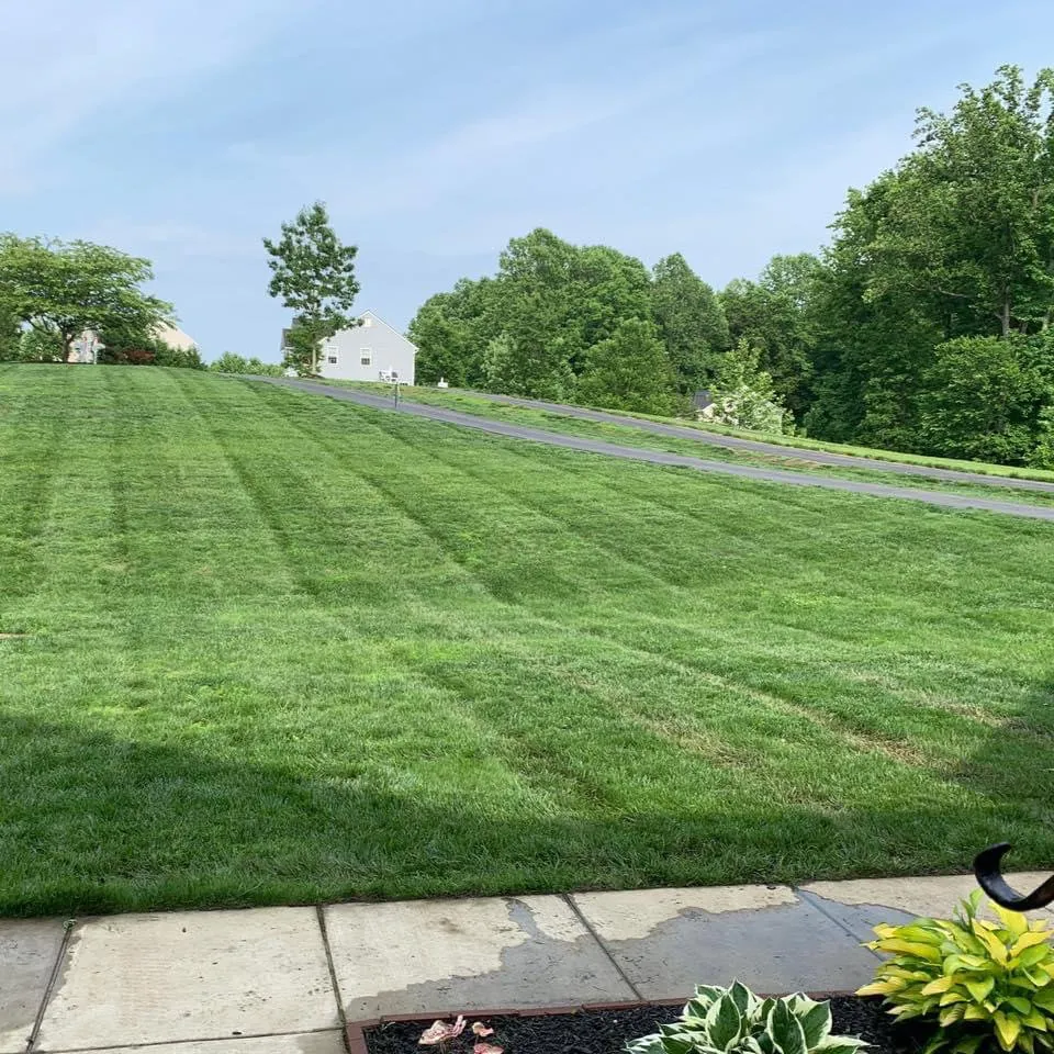 Affordable yard cleanup service with custom design in Prince Frederick, MD by Leisure Lawns