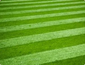 Leisurely Lawn & Landscaping