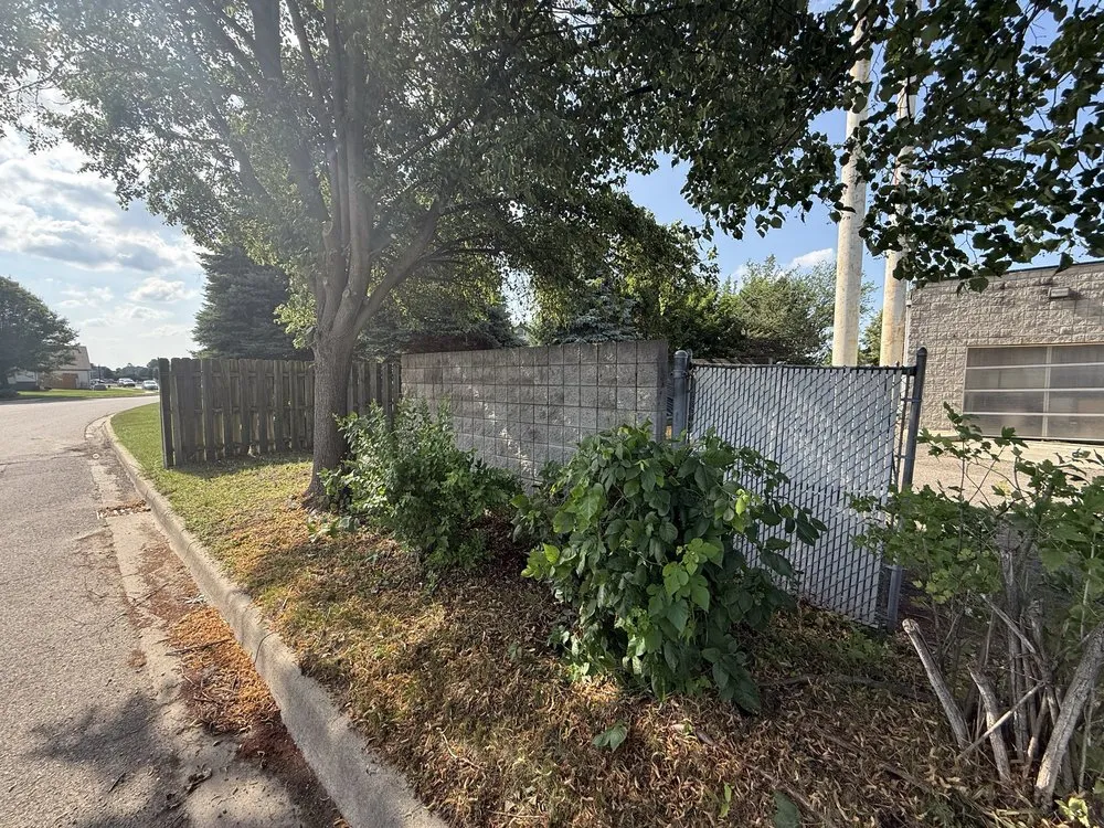 Top-rated lawn care service for beautiful yards across Allen Park, MI - Leisurely Lawns