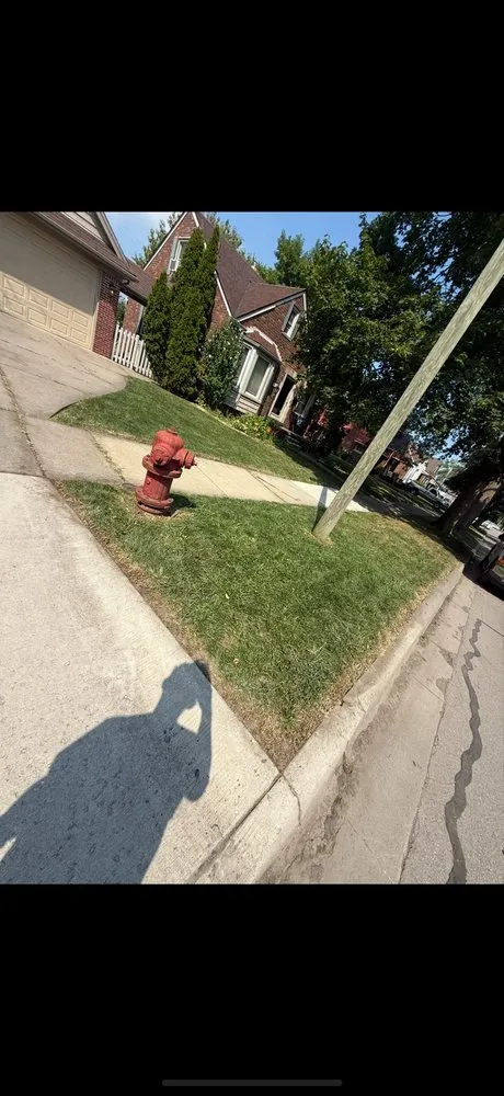 Reliable landscape installation in Allen Park, MI by Leisurely Lawns