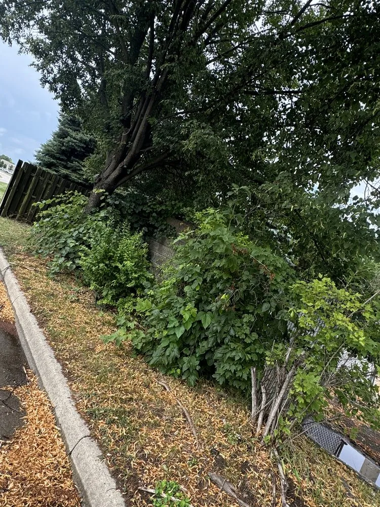 Affordable residential landscaping for residential properties in Allen Park, MI by Leisurely Lawns