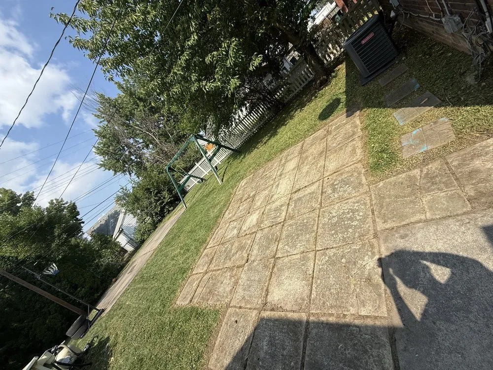 Professional yard cleanup service in Allen Park, MI by Leisurely Lawns