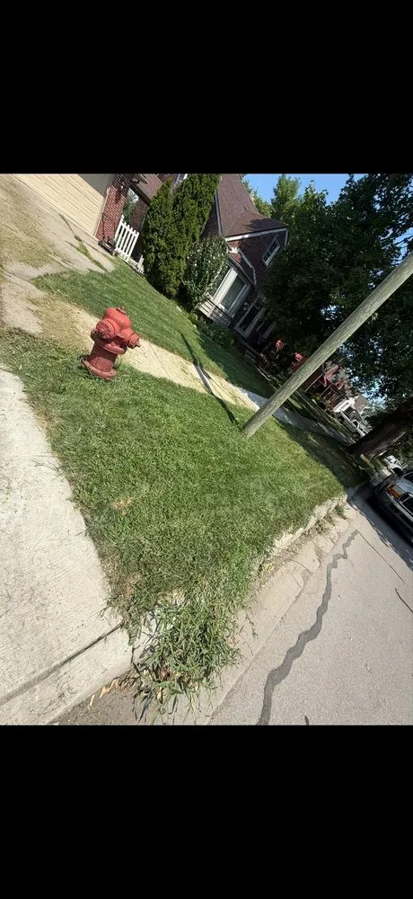 Reliable garden landscaping for beautiful yards in Allen Park, MI by Leisurely Lawns