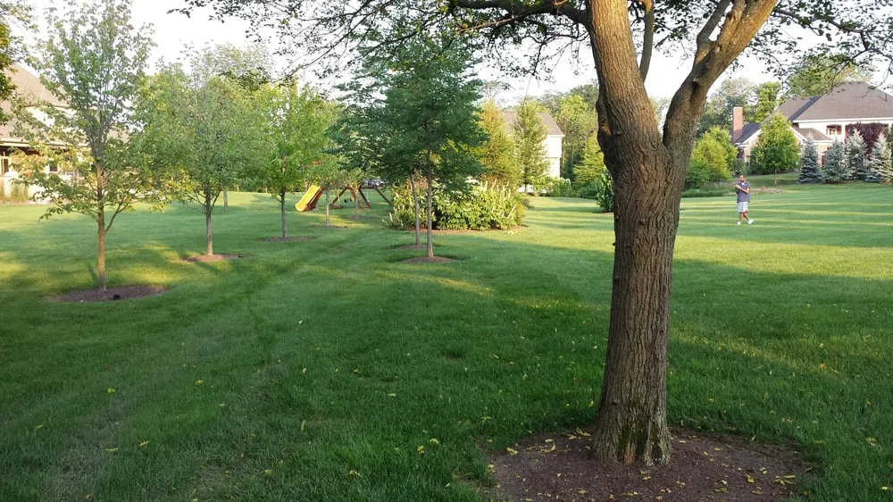 Top-rated residential landscaping in Dayton, OH by Leisuretime Lawncare