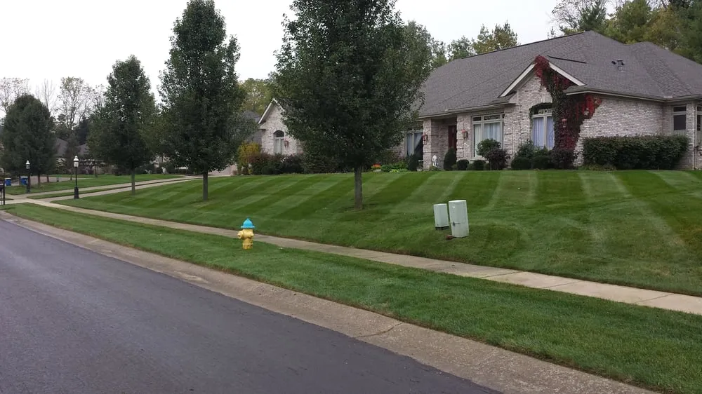Expert yard maintenance experts serving Dayton, OH - Leisuretime Lawncare