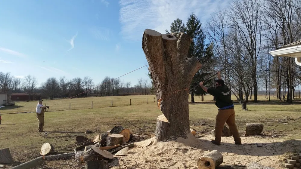 Affordable lawn care service in Dayton, OH by Leisuretime Lawncare