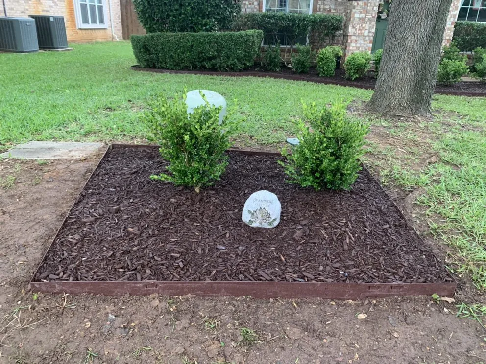 Professional yard cleanup service experts serving Arlington, TX - Leiva Landscape
