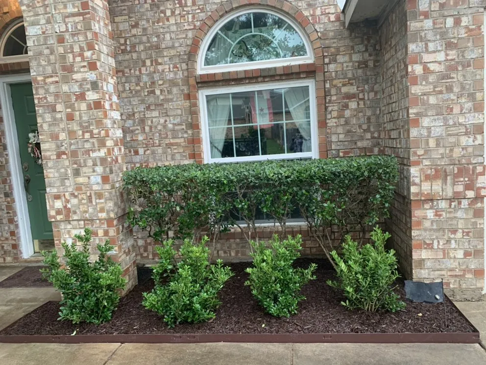 Custom lawn care service for outdoor upgrades in Arlington, TX by Leiva Landscape