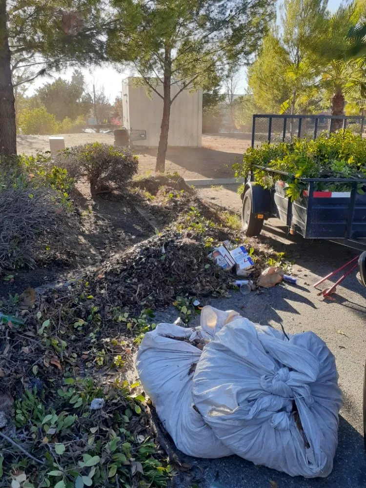 Professional garden landscaping in Lake Elsinore, CA by Leiva Landscaping