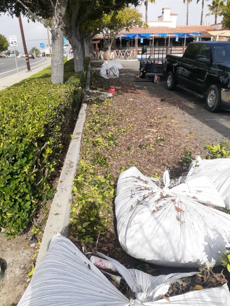 Professional lawn mowing service in Lake Elsinore, CA - Leiva Landscaping