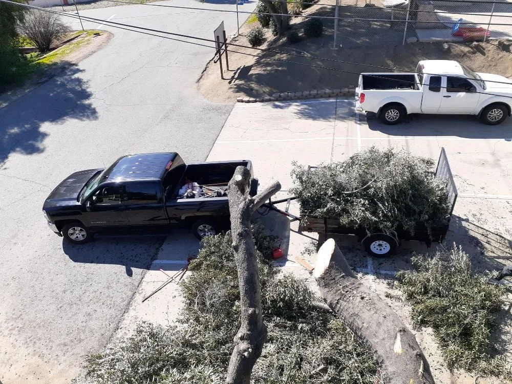 Affordable yard cleanup service in Lake Elsinore, CA by Leiva Landscaping