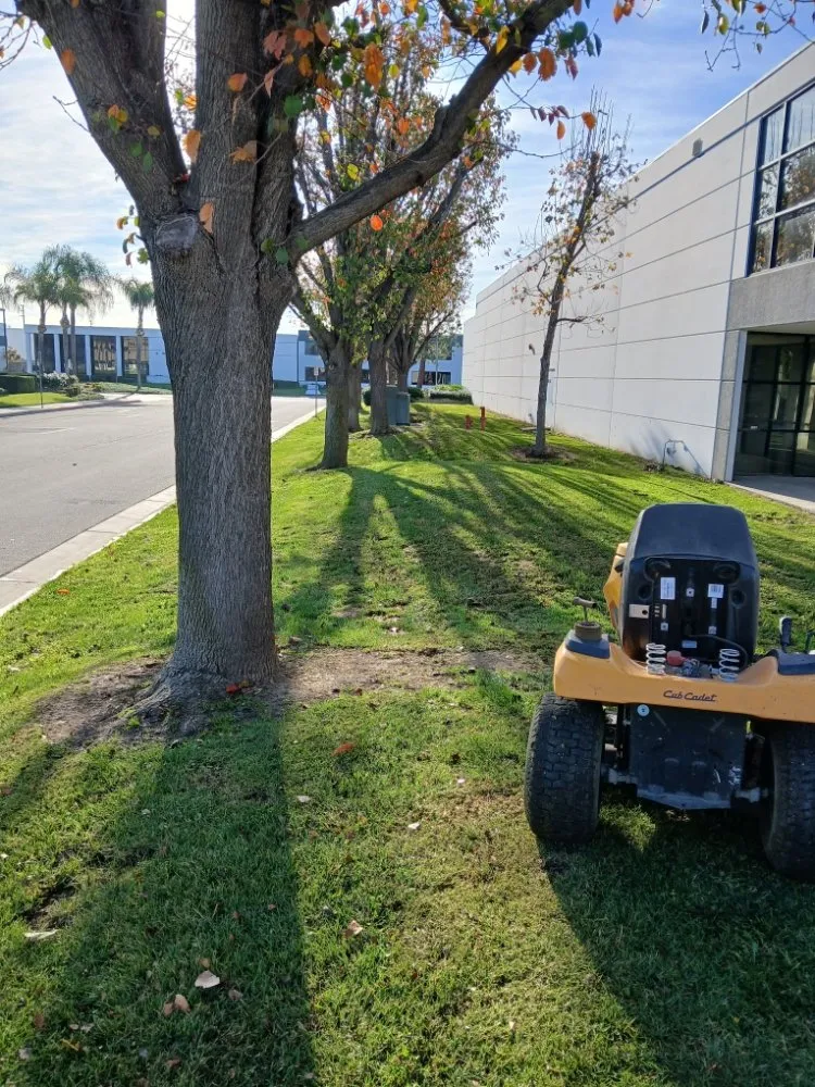 Top-rated landscape installation for residential properties in Lake Elsinore, CA by Leiva Landscaping