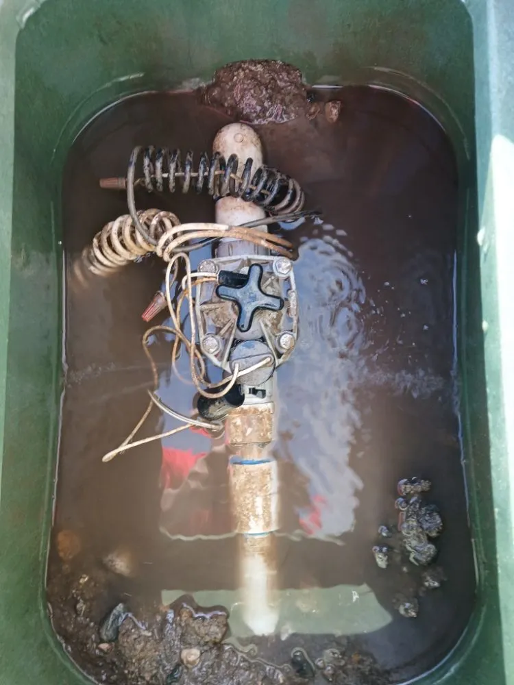 Professional lawn care service experts serving Lake Elsinore, CA - Leiva Landscaping