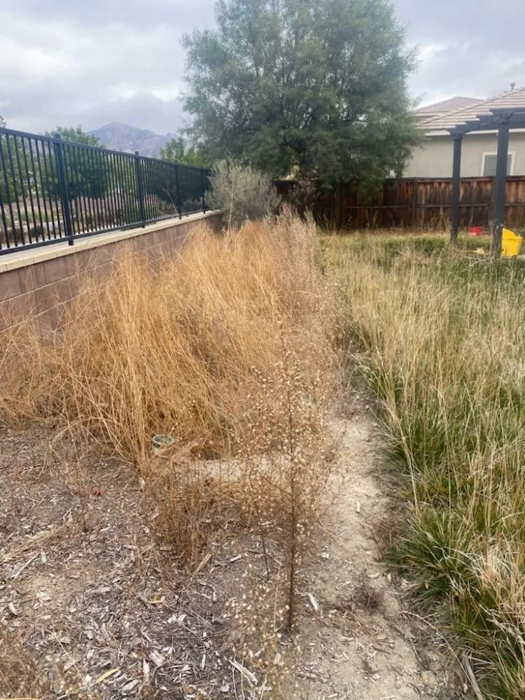 Reliable garden landscaping in Lake Elsinore, CA - Leiva Landscaping