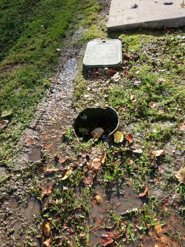 Top-rated garden landscaping in Lake Elsinore, CA by Leiva Landscaping