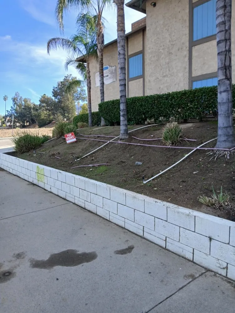 Affordable lawn care service for homes in Lake Elsinore, CA by Leiva Landscaping