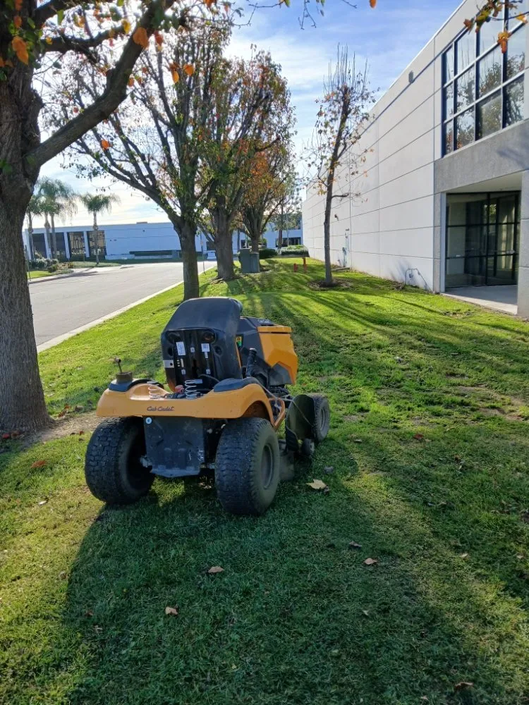 Affordable lawn care service experts serving Lake Elsinore, CA - Leiva Landscaping
