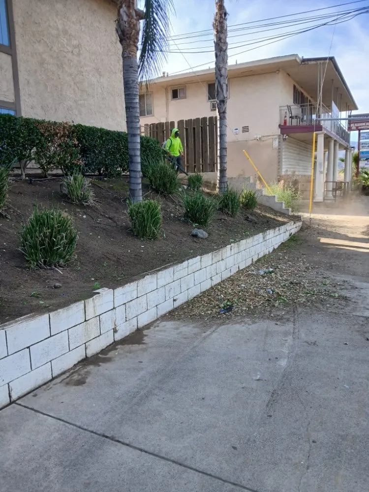 Affordable lawn care service in Lake Elsinore, CA by Leiva Landscaping