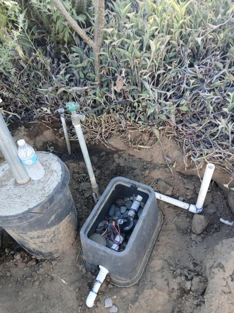 Trusted residential landscaping for year-round maintenance in Lake Elsinore, CA by Leiva Landscaping