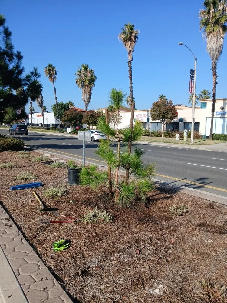 Trusted residential landscaping for homes in Lake Elsinore, CA by Leiva Landscaping