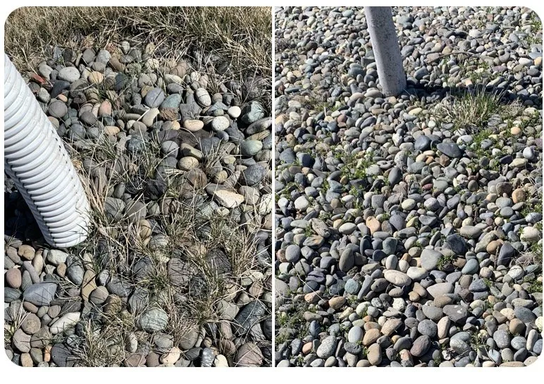 Affordable garden landscaping for residential properties across Pullman, WA - Leland Lawn and Landscaping