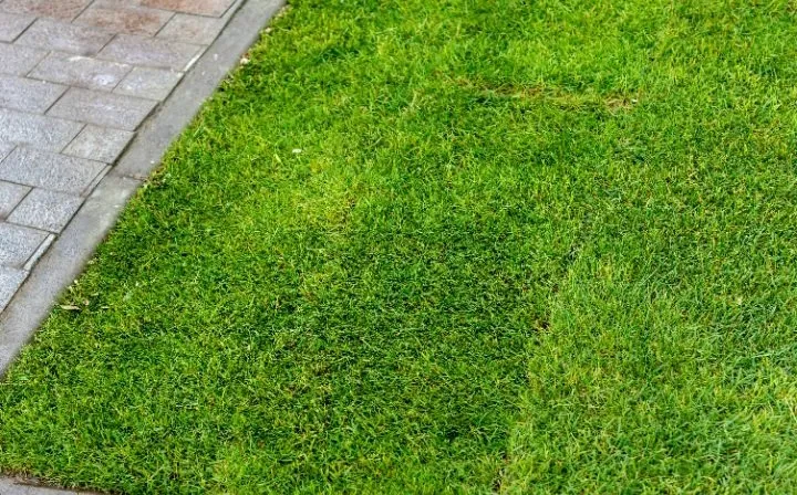 Reliable landscape installation in Leland, NC by Leland Sod