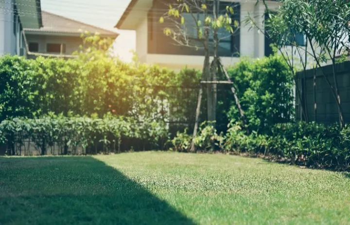 Custom lawn care service in Leland, NC - Leland Sod