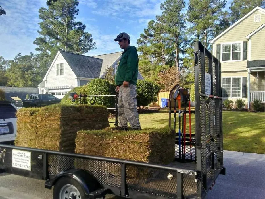 Trusted residential landscaping in Leland, NC by Leland Sod