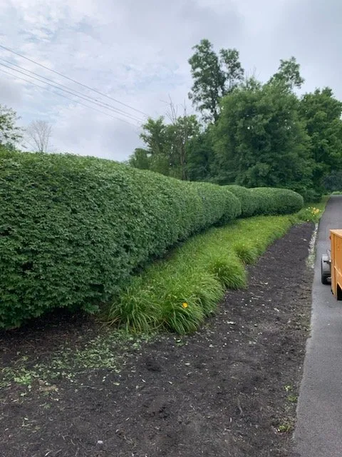 Expert garden landscaping in Harrisburg, PA by Lelii Landscaping & Maintenance