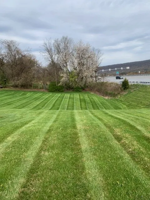 Affordable lawn mowing service for year-round maintenance in Harrisburg, PA by Lelii Landscaping & Maintenance