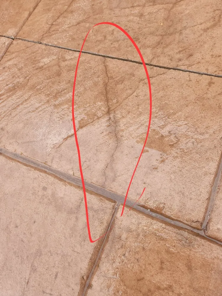 Expert lawn care service experts serving Lakewood, CO - LEM Landscaping