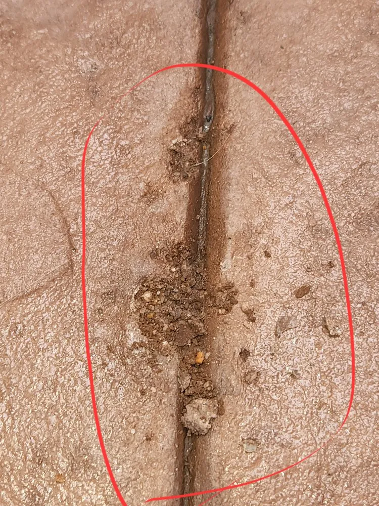 Professional outdoor landscaping in Lakewood, CO by LEM Landscaping