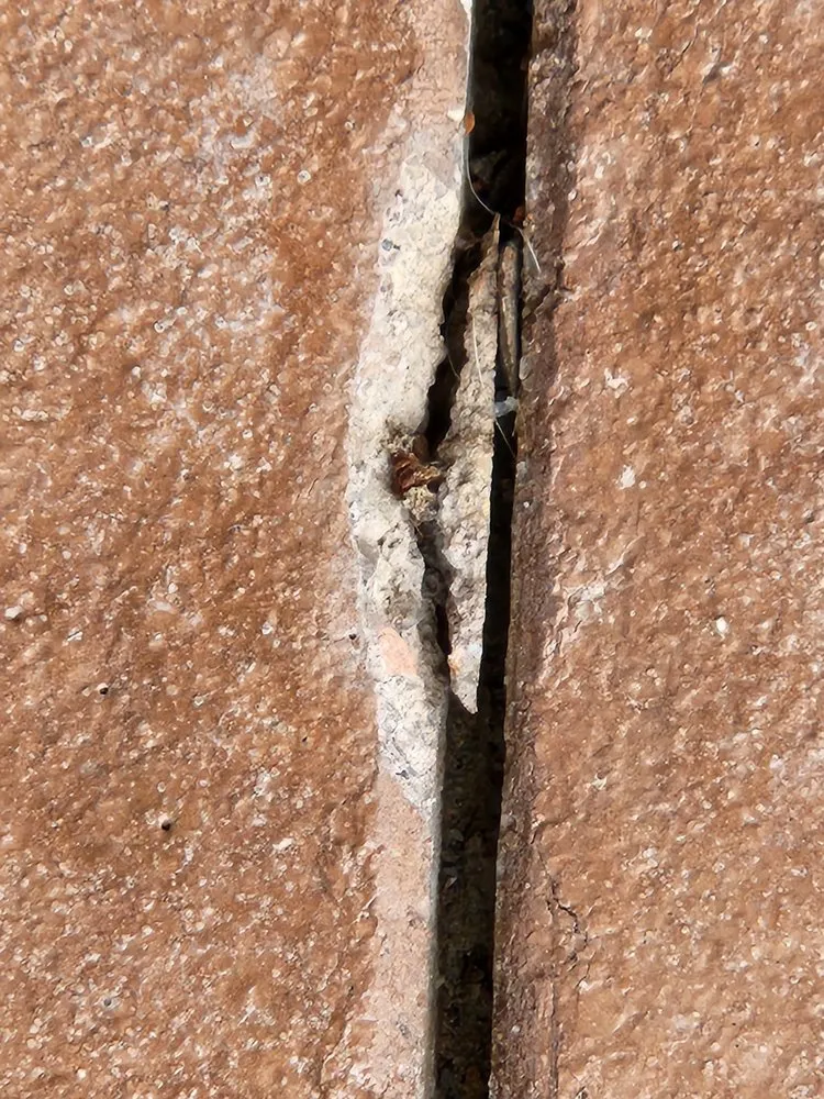 Professional lawn care service for beautiful yards in Lakewood, CO by LEM Landscaping