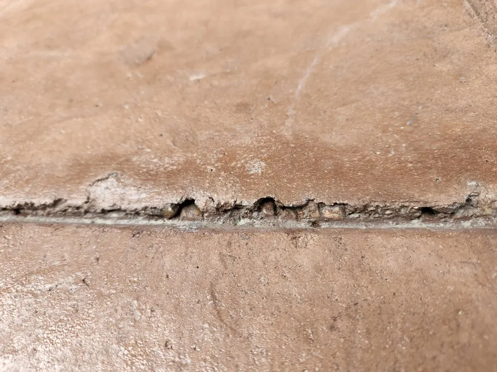 Expert yard maintenance experts serving Lakewood, CO - LEM Landscaping