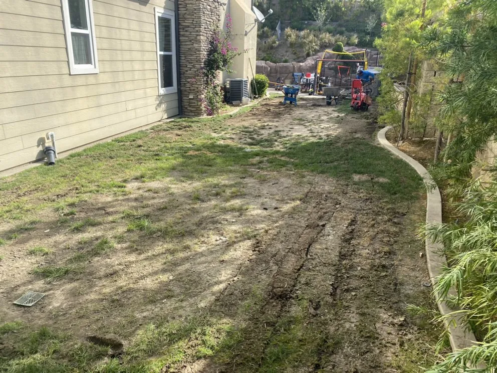 Professional yard cleanup service in Huntington Beach, CA - Lember Landscapes