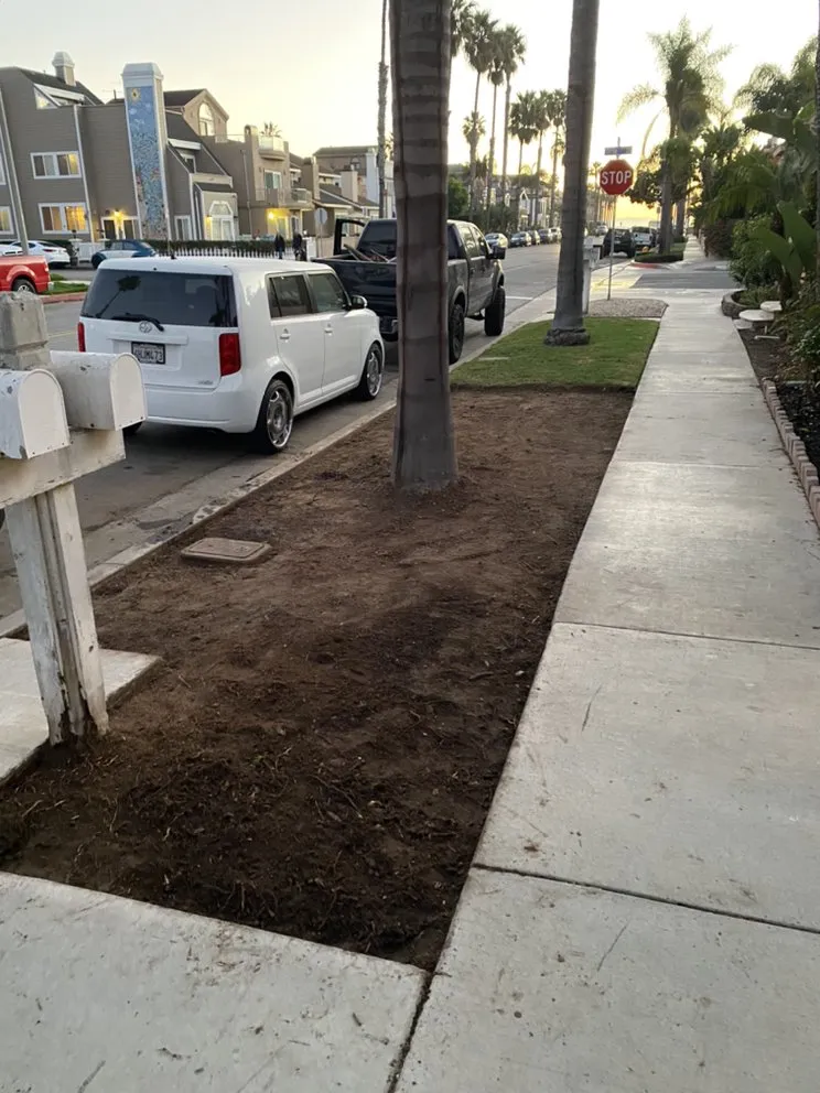 Professional lawn mowing service experts serving Huntington Beach, CA - Lember Landscapes