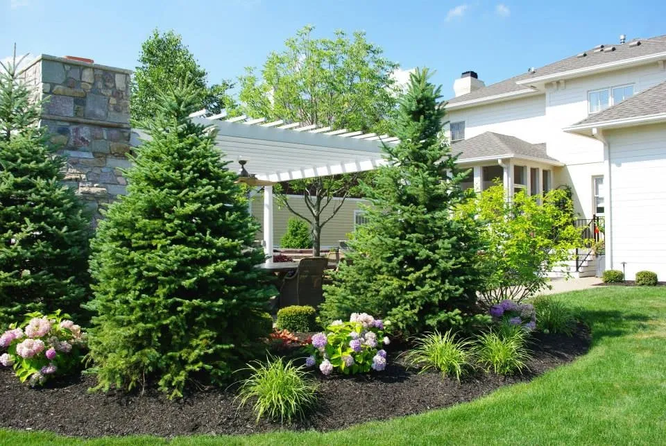 Trusted yard cleanup service experts serving Indianapolis, IN - Lemcke Landscape