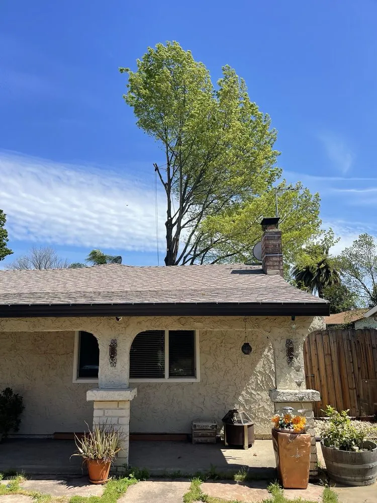 Top-rated landscaping services experts serving Sacramento, CA - Lemcy Tree Service