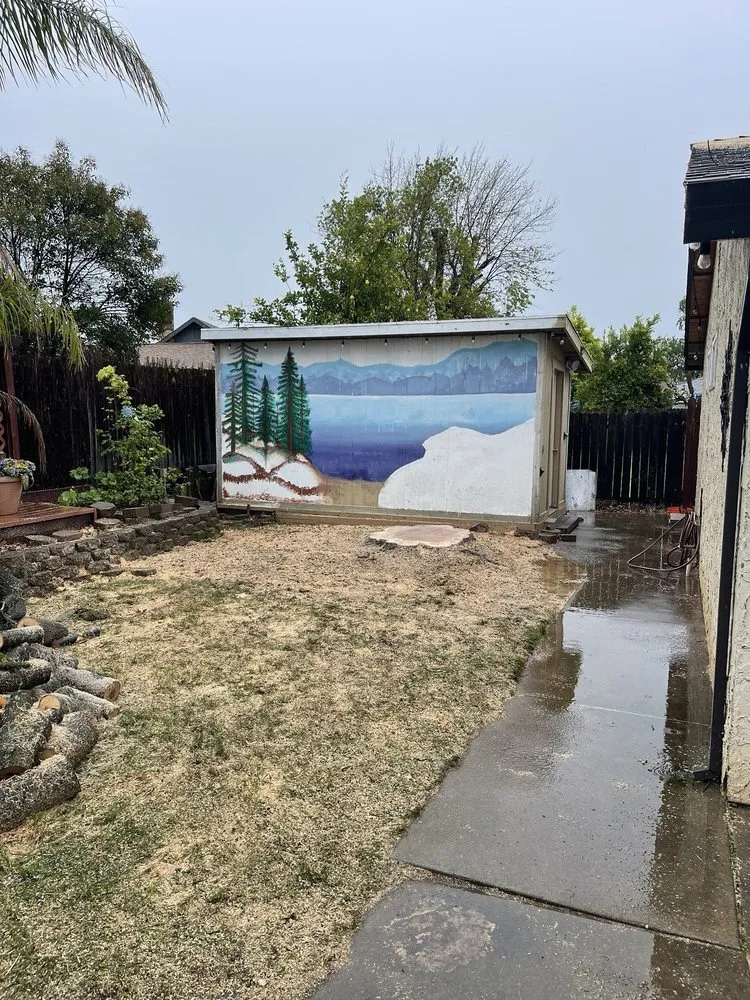 Trusted outdoor landscaping in Sacramento, CA - Lemcy Tree Service