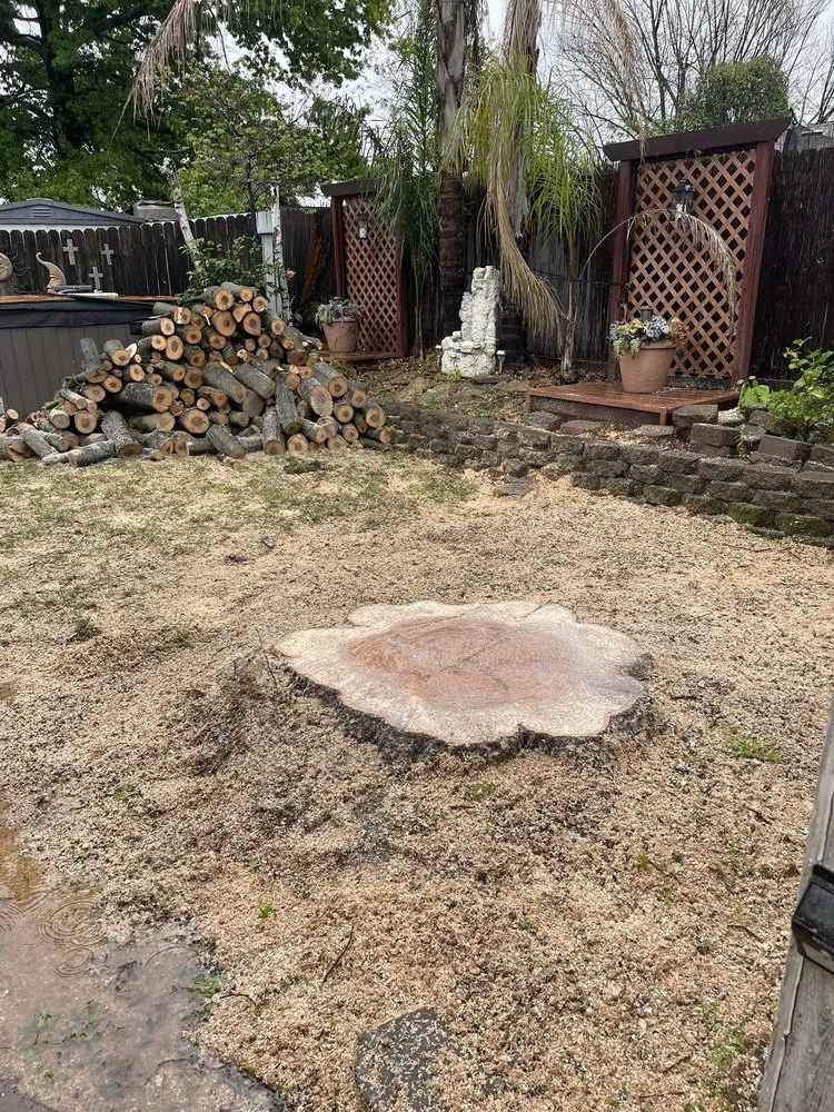 Expert landscaping services experts serving Sacramento, CA - Lemcy Tree Service